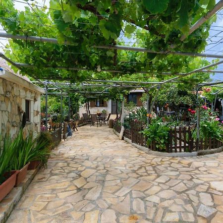 Dimitris'S Country House Agia  Extérieur photo