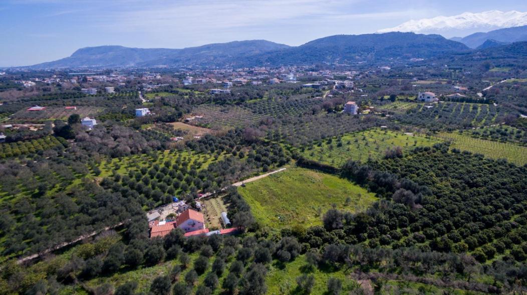 Dimitris'S Country House Agia  Extérieur photo