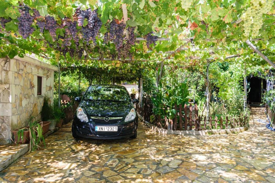 Dimitris'S Country House Agia  Extérieur photo