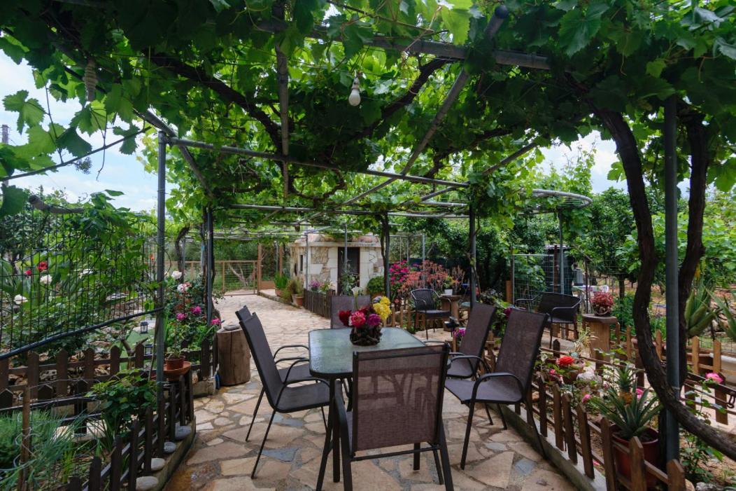 Dimitris'S Country House Agia  Extérieur photo