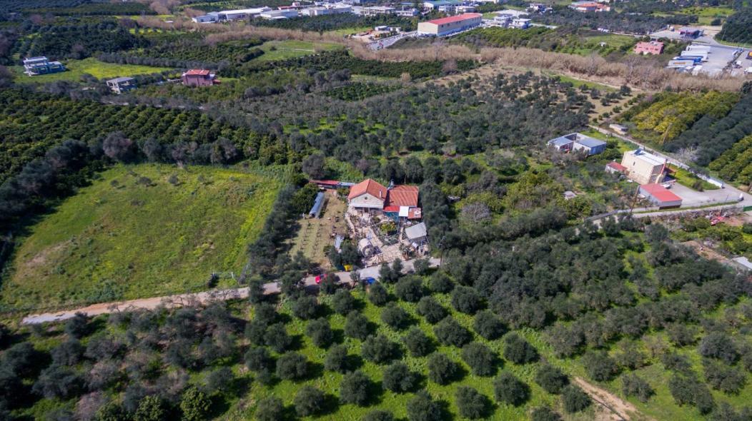 Dimitris'S Country House Agia  Extérieur photo
